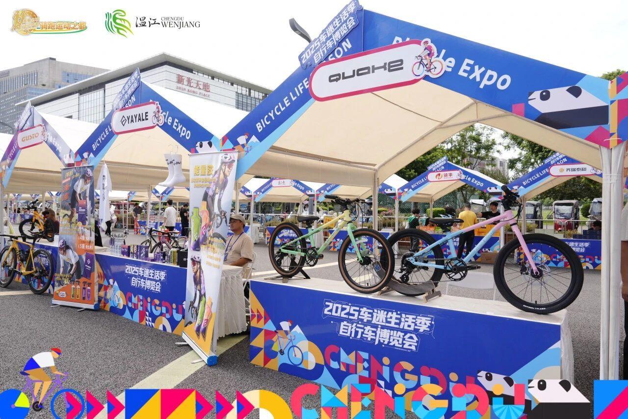 项目, img 项目, img