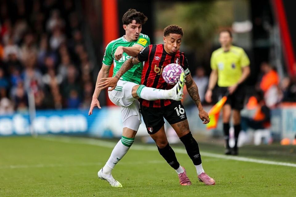 贝尔温以来 贝尔温以来